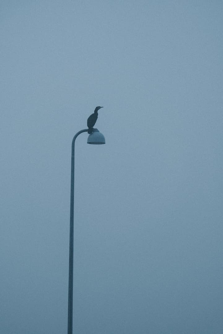 DSCF5240 1