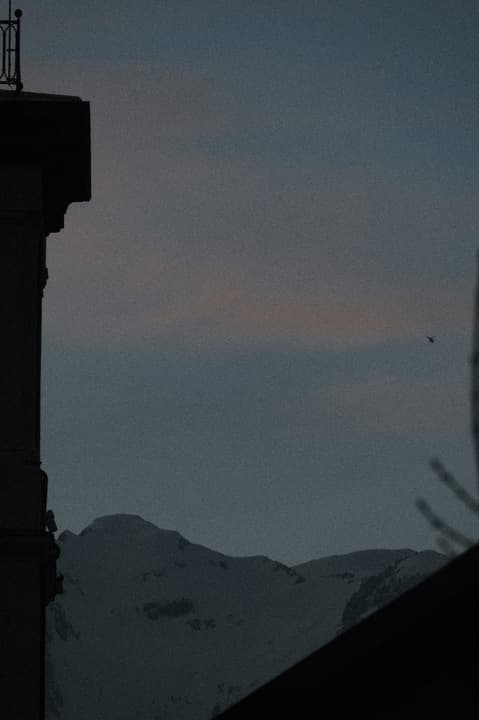 DSCF5197 1