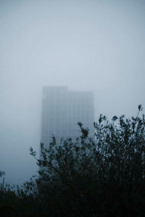 DSCF2626